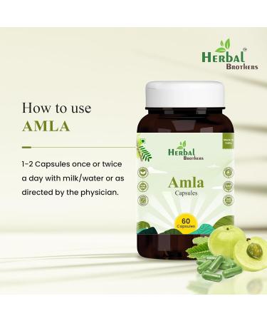 HERBAL BROTHERS Amla Capsules Pure Herbs Used Rich in Vitamin C 60 Veg Capsules Pack of 3 - Buy Online on GoSupps.com