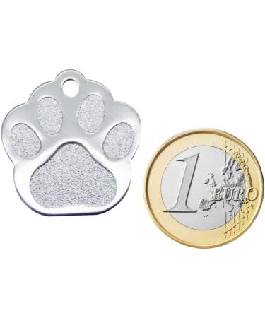 Personalized Dog Brand Paw Pendant for Small to Medium Dogs & Cats - Engraved Name & Address Tag (Pink) | Ibera Gifts - Buy Online on GoSupps.com