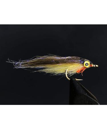 Tigofly 12pc Brown Olive UV Polar Fry Trout Steelhead Minnow Fly Fishing Lures Set Size #8 | Assorted Fly Flies - Buy Online on GoSupps.com