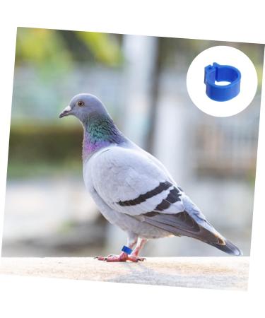 BESPORTBLE 300 Pcs Meat Pigeon Anklet Chicks Identify Clip Ring Chicken Leash Bird Ankle Ring Parrot Plastic 1.3X1.3CMx3pcs Dark Bluex3pcs - Buy Online on GoSupps.com