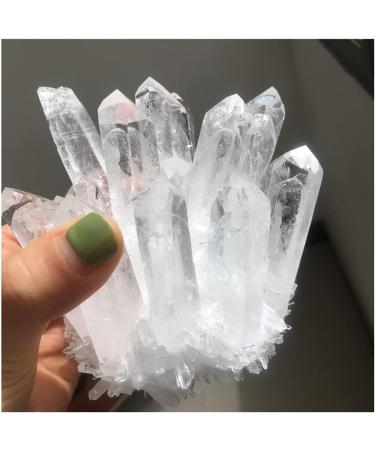 Crystal Rough 700-750g Natural Clear White Quartz Point Crystal Cluster Specimen 1PCS - Buy Online on GoSupps.com