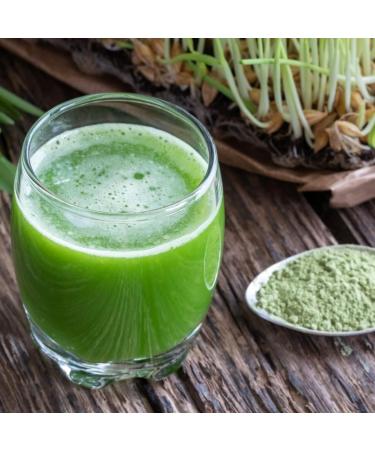 Organic Barley Grass Powder 250g | 100% Natural & Pure | Vegan | Nutrient-Rich Superfood - Buy Online on GoSupps.com