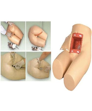 Buy Assisted Defecation Manikin Educational Model - Life Size Enema Training Tool for Nursing & Healthcare Professionals - Buy Online on GoSupps.com