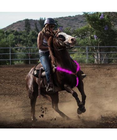FM2018XSL Horse Harness LED Breastplate - Luminous Reflective Safety Belt for Outdoor Equestrian - Bright Orange International Shipping - Buy Online on GoSupps.com