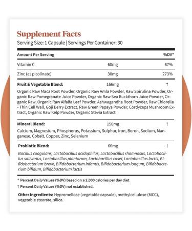 Pattern Wellness Zinc Complex Supports Immune, Skin & Digestive Health High Absorption Zinc with Vitamin C, Probiotics & Natural Blends 30 Vegan Capsules 30 Count (Pack of 1) - Buy Online on GoSupps.com