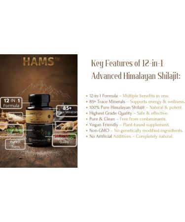 12-in-1 Natural Shilajit & Ashwagandha Formula Vitality Energy & Immunity Booster - Buy Online on GoSupps.com