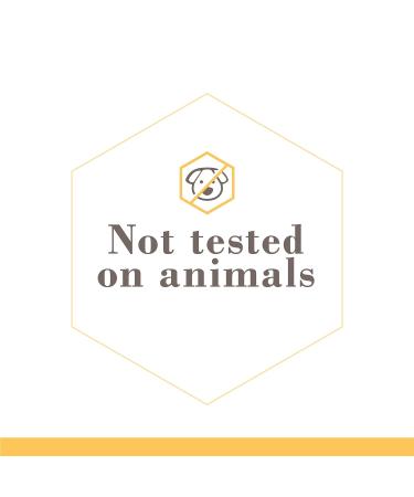 Burt's Bees Kids Fluoride-Free Bubblegum Toothpaste 4.7oz - Pack of 4 - Buy Online on GoSupps.com