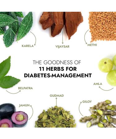 Kapiva Dia Free Juice 1L - Holistic Diabetes Care with Amla, Karela, Jamun, Guduchi - 9 Powerful Ingredients - Buy Online on GoSupps.com