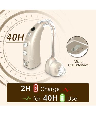 Delmicure 1710S Fully Digital Device - 16 Channels Rechargeable Noise Reduction & Adjustable Volume | International Shipping Available - Buy Online on GoSupps.com