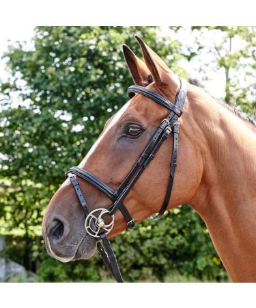 John Whitaker Barton Bridle - Raised Flash Havana Cob | Premium Equestrian Gear for International Shipping - Buy Online on GoSupps.com