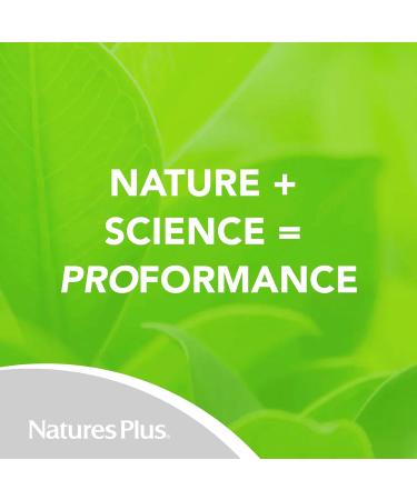 NaturesPlus PRO Longvida Curcumin 500 mg - 60 Capsules - Promotes Healthy Free Radical Protection - Non-GMO Vegan & Gluten Free - 60 Servings - Buy Online on GoSupps.com