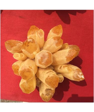 400-800g Natural Yellow Ghost Phantom Quartz Crystal Cluster Specimen Home Decoration Office Living Room Crystal Decora kaixun (Size : 600-700g) - Buy Online on GoSupps.com