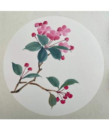 Hmay Pre-Mounted Soft Shikishi with Jingxian Semi-Sized Xuan Paper - 10 Sheets for Sumie Painting and Brush Calligraphy - Square 33cm - Buy Online on GoSupps.com