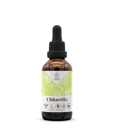 Chlorella Alcohol-Free Natural Tincture Extract Immune System Booster Liquid Drops Made from 100% Chlorella (pyrenoidosa) Dried Algae (2 fl oz) 2 Fl Oz (Pack of 1)