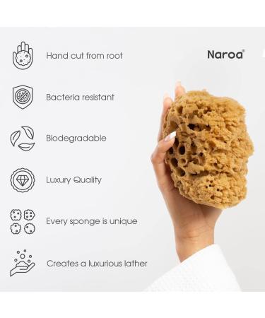 Naroa Natural Sea Sponge for Bathing | Firm Exfoliating Body Scrubber | Eco-Friendly & Renewable | Medium Size | Men & Women - Buy Online on GoSupps.com