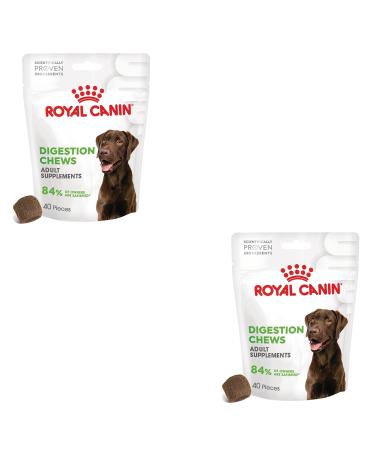 ROYAL CANIN Digestion Chews Adult Supplements Double Pack 2 x 160 g Supplementary Feed for Adult Dogs to Support Normal Digestion and Intestinal Flora
