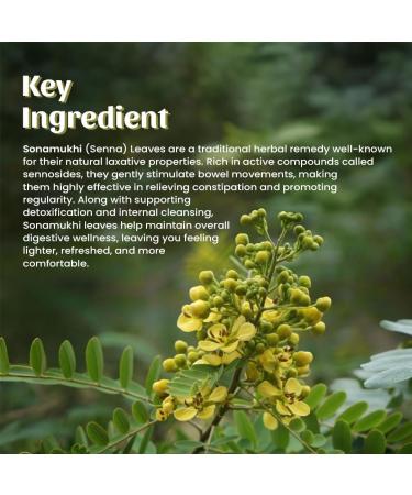  Neel Ayurvedics Neel Ayurvedics Sonamukhi | Senna Leaves | Mindhiaval Powder - 300 GM - Buy Online on GoSupps.com
