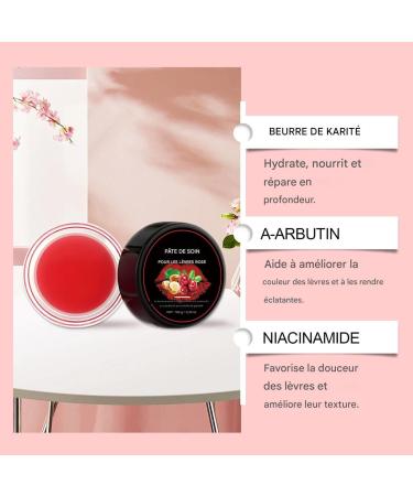 Winter Lip Balm - Natural Plant Extracts 10g Moisturizing Balm for Dry Lips for Women | for Wife Girlfriend Friends Sisters Dates Travel Gatherings Outings - Buy Online on GoSupps.com