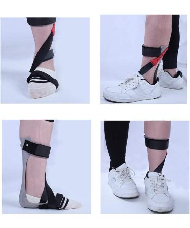 Ankle Foot Orthosis for Drop Foot - Adjustable Stabilizer Support for Flaccid Foot Drop & Dorsiflexion (Right Size L 39-41 - Buy Online on GoSupps.com