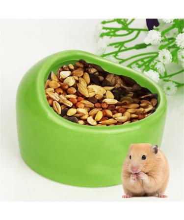 CAJHFIZHANGU 1pc Gradient Side Hamster Ceramic Bowl Hamster Food Bowl Ceramic Water Bowl Small Animal Water Bowl Anti-bite Small Animal Food Bowl Water Feeder for Rabbit Hedgehog Guinea-Pig Green - Buy Online on GoSupps.com