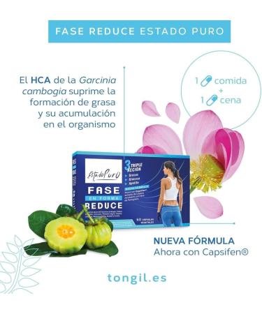 Step Slimming Pure Essence | Powerful Fat Burner for Weight Loss | Slimming x3 Fats Glucose Appetite | Garcinia Cambogia Forskolin Capsaicin | 60 Capsules | Api-Nature - Buy Online on GoSupps.com