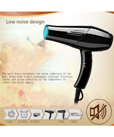 Hair Dryer Professional Hair Dryer 2200W Negative Ionic Hairdryer with 3 Heat 2 Speed Settings Low Noise Hair Dryer for Home & Salon Powerful AC Motor Blow Dryer with Diffuser and 2 Nozzle Small - Buy Online on GoSupps.com