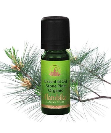 Buy 10ml Wildcrafted Organic Pine Stone Pine Essential Oil | Pure & Natural | International Shipping Available - Buy Online on GoSupps.com