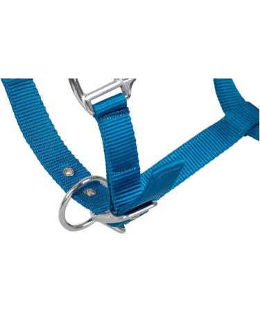 RL24 Halter with Plush Padding - BASICLINE | 6 Colors for Shetland Pony Thoroughbred & Warmblood - Turquoise Option Available - Buy Online on GoSupps.com