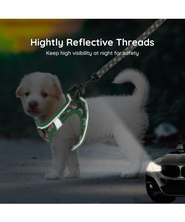 Shop Bella & Pal Dog Harness Set - Comfortable Air Mesh with Reflective Strip for Small & Medium Dogs - Anti-Train No Tensile Leash - XS Christmas Green - Buy Online on GoSupps.com