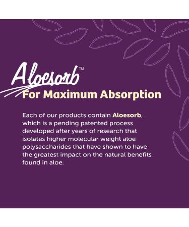 Lily Of The Desert Stomach Formula & Detox Formula Variety 2-Pack Aloe Vera andHerbs for Gut Health Liver Detox Heartburn Relief 32 Fl Oz Ea 32 Fl Oz (Pack of 2) - Buy Online on GoSupps.com