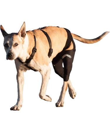 Walkabout Double Knee Brace + Chest Halter Combo Treat CCL and Other Canine Joint Injuries with this Vet-Recommended Compression Brace Built for Immediate Support and Rapid Relief Best Used for Pre/Post Operative Rehabilitation or as an Alternative To Cos - Buy Online on GoSupps.com