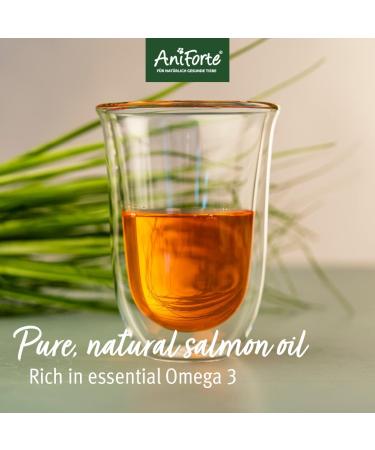 AniForte Premium Salmon Oil for Dogs Cats Horses & Pets 1L 100% Natural Norwegian Fish Oil with Omega 3 High Level of EPA and DHA Fatty Acids Barf Supplement - Buy Online on GoSupps.com