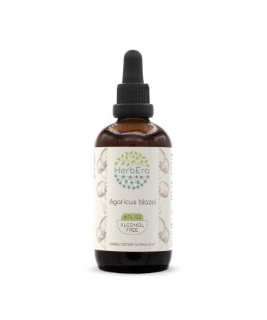 Agaricus Blazei B120 Alcohol-Free Herbal Extract Tincture, Concentrated Liquid Drops Natural Agaricus blazei murill Dried Mushroom (4 fl oz) 4 Fl Oz (Pack of 1)
