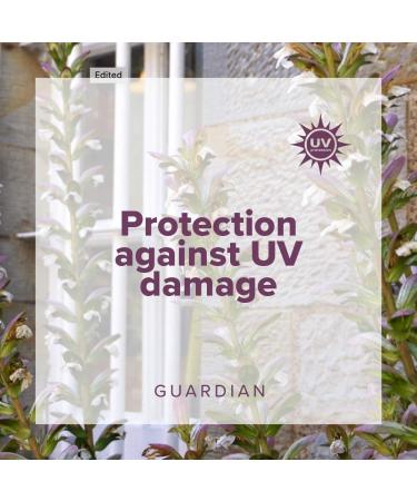 Guardian by Smith England Colour Shield Conditioner 250ml - Superior Hair Care for Vibrant Color | Buy Internationally - Buy Online on GoSupps.com