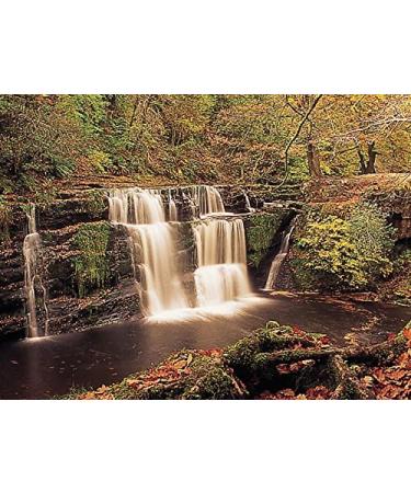Lee Filters 4x6 Autumn Tint Resin Filter Set - Graduated Hard Edge Filters (Chocolate 2, Tobacco 2, Coral 6) - Buy Online on GoSupps.com