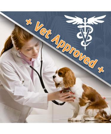 Jungle Pet Anti-Itch Spray for Dogs and Cats - Hotspot Treatment for Itchy Skin - 8 oz - Buy Online on GoSupps.com