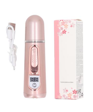 Facial Mist Sprayer Facial Sprayer Humidifier Rechargeable Portable Nano Mist Sprayer Facial Humidifier Power Bank Rose Gold 35 Ml