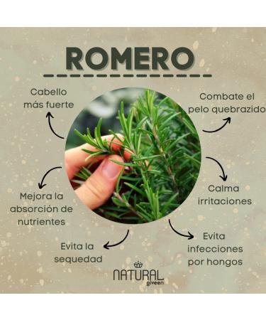 ARCANE Anti Hair Loss Shampoo with Vitamin E, B3, Rosemary - 16.90 oz | Promotes Fast Hair Growth - Buy Online on GoSupps.com