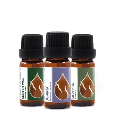 Set "Forest Magic" Organic Essential Oils | Scotch Pine + Juniper + Silver Fir | 100% Pure and Natural | Undiluted | Therapeutic Grade | Family-Owned Farm | Non-GMO | 3 pcs x 10 ml