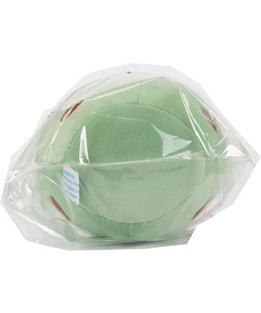 Domeilleur BoBa Plushie Bubble Tea Doll 24cm Green - Soft Pillow Stuffed Toy for Girlfriend - Hugging Cushion Gift - Skin-friendly & Comfortable - Buy Online on GoSupps.com