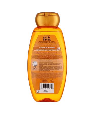 Garnier Whole Blends Illuminating Shampoo with Moroccan Argan & Camellia Oils - 12.5 fl oz - Buy Online on GoSupps.com