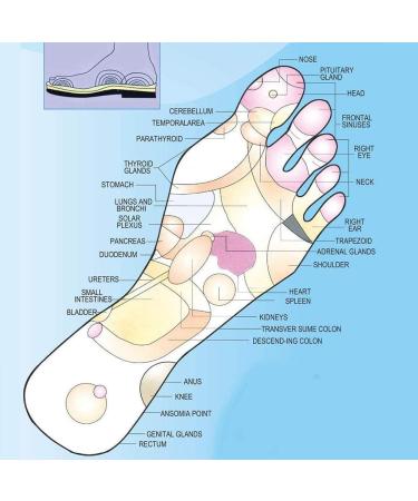 Buy Acupressure Insoles - Relaxed Feet Orthopedic Soles with 18 Magnets | Breathable Deodorant & Fatigue Relieving - Black Size L - International Shipping Available - Buy Online on GoSupps.com