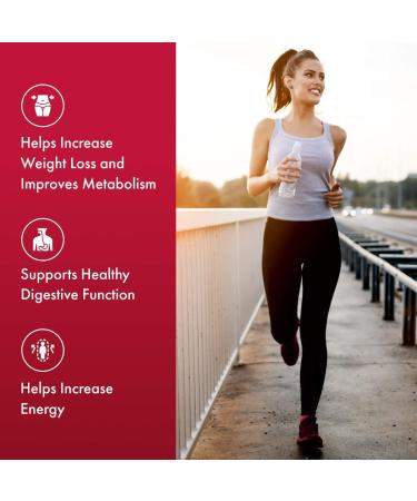 Apple Cider Vinegar Supplement Capsules - 1300mg Extra Strength for Weight Loss & Detox - All Natural Vegan Diet Metabolism Booster - Buy Online on GoSupps.com