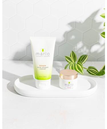 Marlo Bloom Lavish Whipped Cleanser | Clean Beauty | Anti-Aging Facial Cleanser for All Skin Types | 5 oz | Dermatologist Tested - Buy Online on GoSupps.com