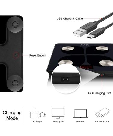RENPHO Rechargeable Smart Scale - Digital Weight & Body Fat Monitor with Bluetooth Sync - 396 lbs Capacity - Buy Online on GoSupps.com