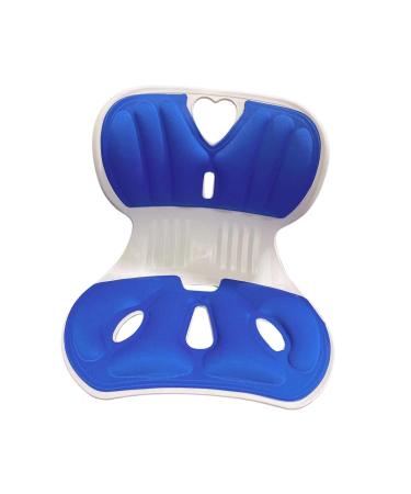 Generic Ergonomic Lumbar Support for Sitting Posture Blue