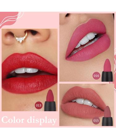 3Pcs Rub Red Chestnut Mauve Pink Matte Lip Crayon Liner Set | Waterproof 24H DNM Matte Lipstick & Liner Set | Original labiales mate 24 horas | 13&15&16 - 3 Count - Buy Online on GoSupps.com
