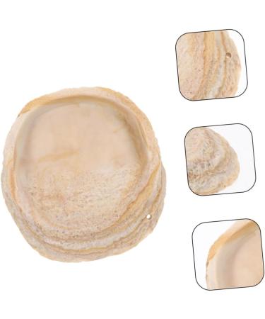 ROMISBABA 2pcs Pet Bowl Bearded Dragon Water Bowl Terrarium Water Bowl Reptile Feeding Dish Animal Resin Beige - Buy Online on GoSupps.com