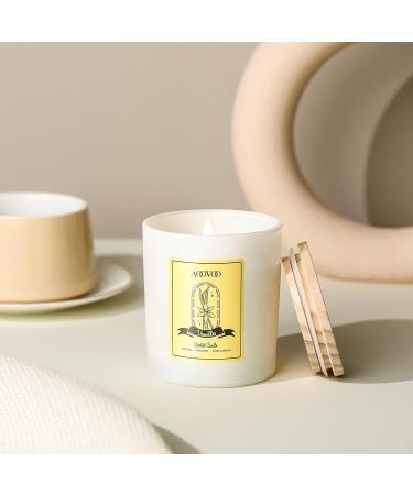AOOVOO Vanilla Candles - Scented 10oz Natural Soy Wax Candles with Crystals | Perfect Gift for Women & Men | 60H Burn Time - Ideal for Birthdays & Christmas - Buy Online on GoSupps.com