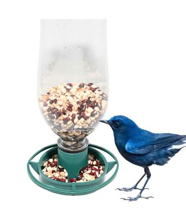 Recycle Empty Soda Bottle Top Bird Feeder Easy to Hang Outdoors Fill Bottle with Seed Twist On Feeding Tray